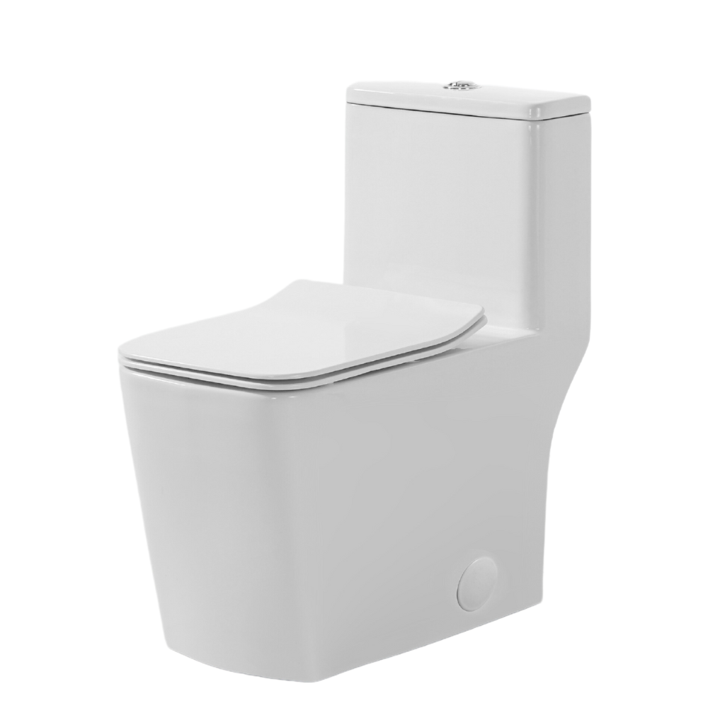 Toilette monopièce blanche siège carré inclus double chasse
