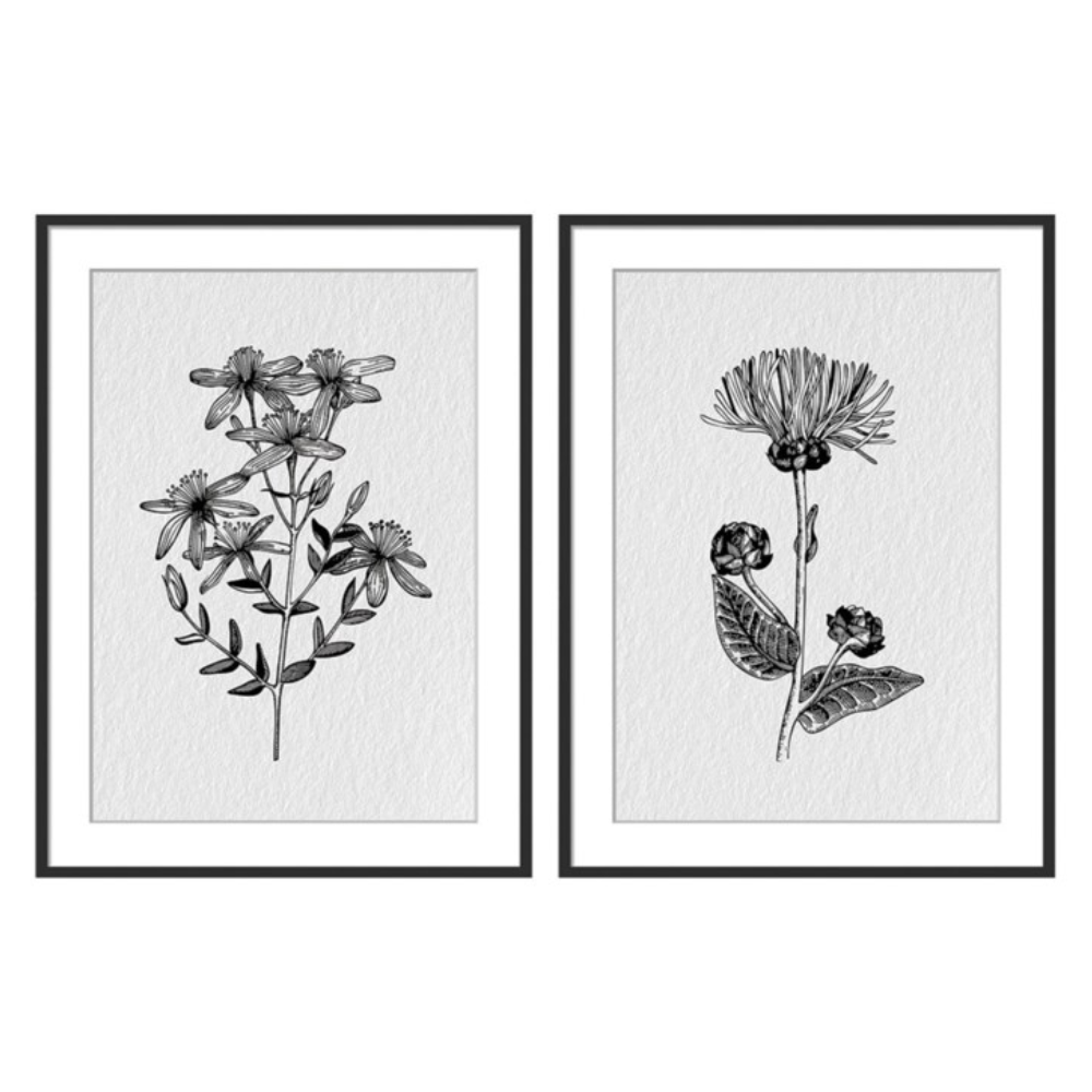Ensemble de 2 toiles imprimées Fleurs des Champs sous cadre noir