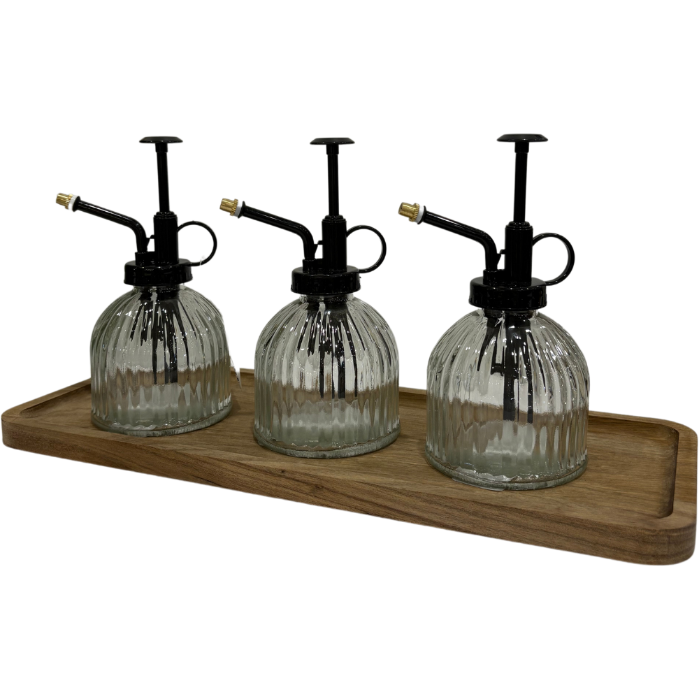 Vaporisateur à plantes en verre clair de Nostalgia