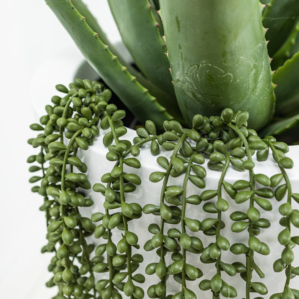 Plante verte artificielle retombante imitation nertera 24